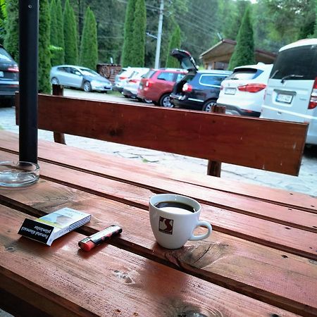 Popas Balea Rau Hotel Cartisoara Luaran gambar
