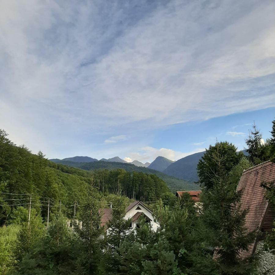 Popas Balea Rau Hotel Cartisoara Luaran gambar