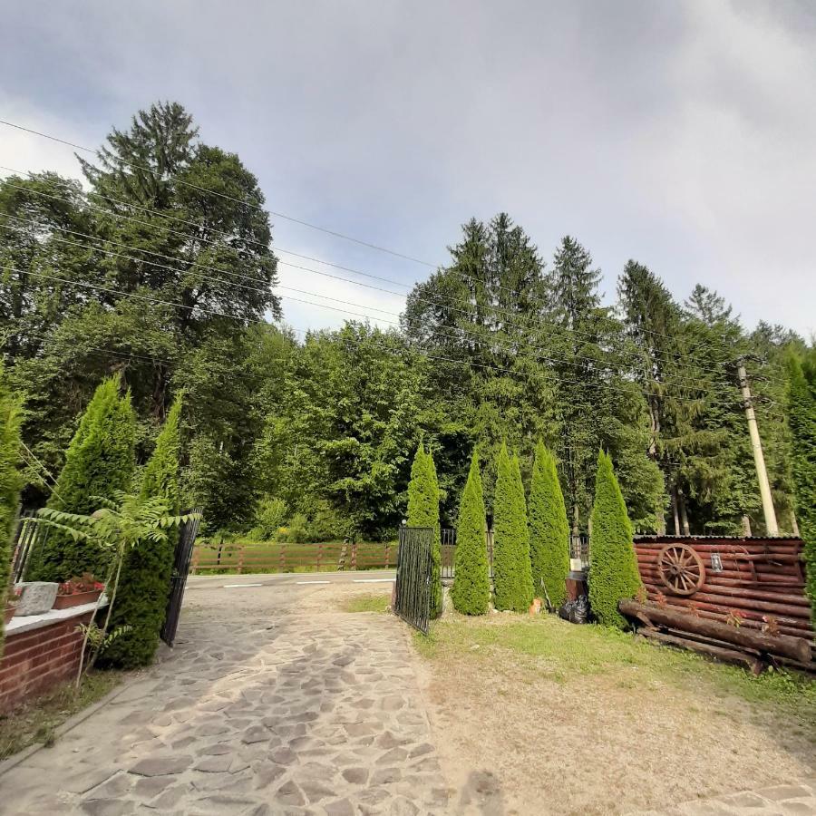 Popas Balea Rau Hotel Cartisoara Luaran gambar