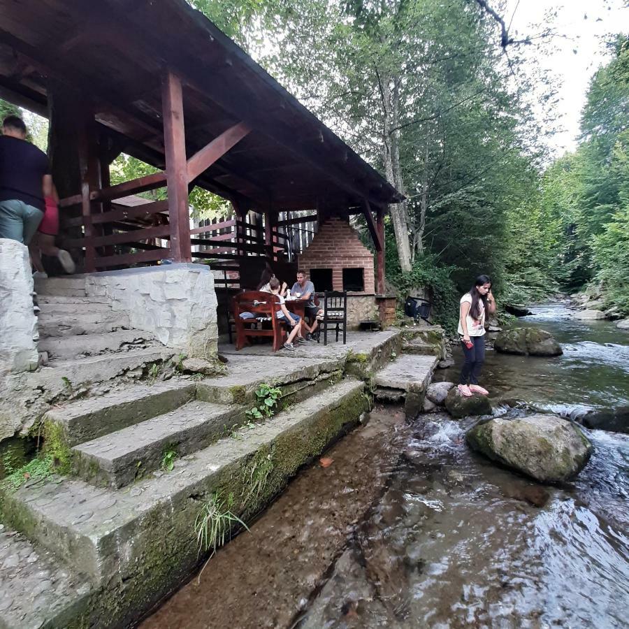 Popas Balea Rau Hotel Cartisoara Luaran gambar